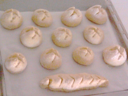 Panes amasados con harina de espelta, piezas de 150 gramos, luego del segundo leudado, listos para hornear.